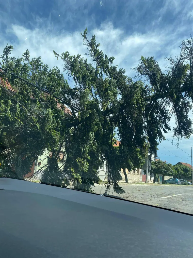 Snažno nevrijeme poharalo Sisak i Petrinju - o&scaron;tećene kuće, uru&scaron;ena stabla...