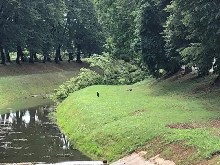 Snažno nevrijeme poharalo Sisak i Petrinju - o&scaron;tećene kuće, uru&scaron;ena stabla...