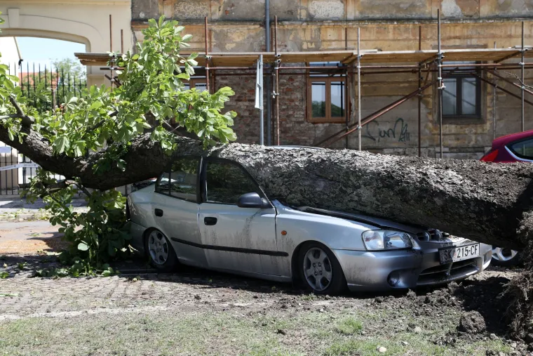 Snažno nevrijeme poharalo Sisak i Petrinju - o&scaron;tećene kuće, uru&scaron;ena stabla...