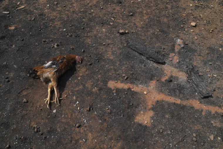 Užas u Grčkoj! Gore sjeverna predgrađa Atene