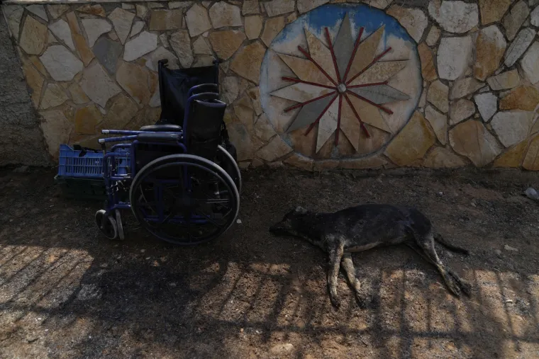 Užas u Grčkoj! Gore sjeverna predgrađa Atene