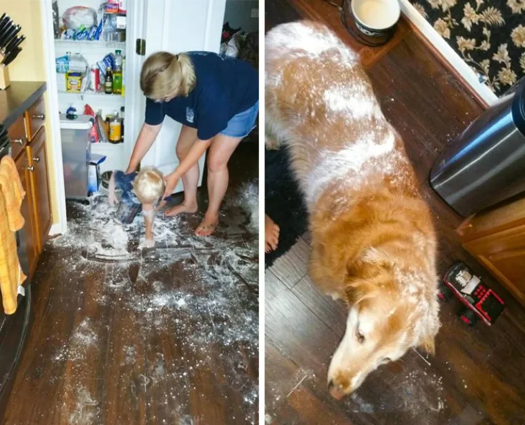 Uspijete li iz galerije izaći sa suzama na licu od smijeha, čestitamo, spremni ste (ponovo) postati otac i majka