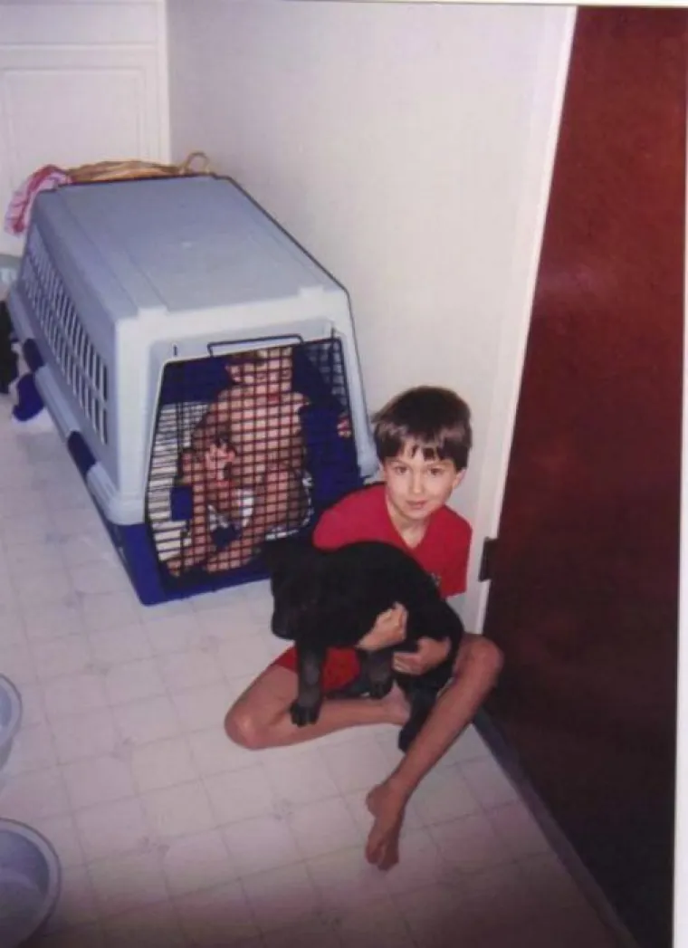 Uspijete li iz galerije izaći sa suzama na licu od smijeha, čestitamo, spremni ste (ponovo) postati otac i majka