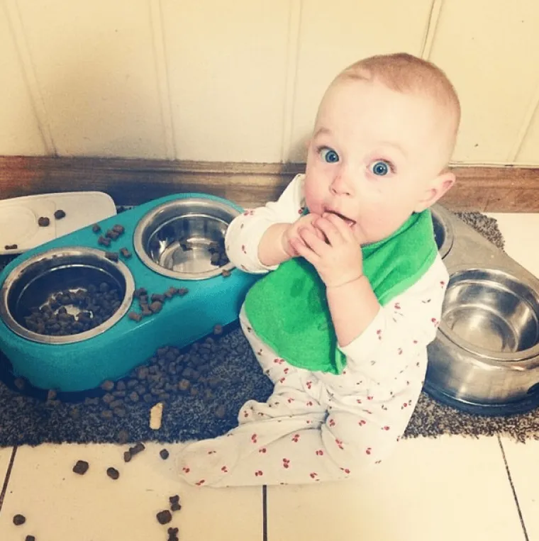 Uspijete li iz galerije izaći sa suzama na licu od smijeha, čestitamo, spremni ste (ponovo) postati otac i majka