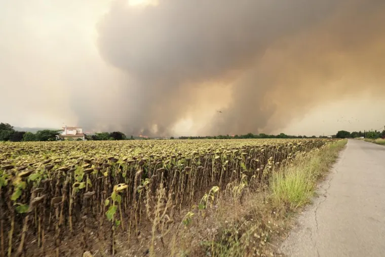 Požar nastavlja harati glavnim gradom Grčke, izvedena je i velika operacija evakuacije na otoku Evia