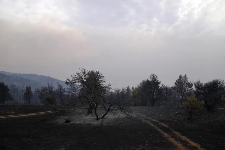 Požar nastavlja harati glavnim gradom Grčke, izvedena je i velika operacija evakuacije na otoku Evia