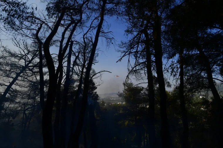 Prve žrtve požara u Grčkoj - predsjednik komore i mladi vatrogasac na kojeg je pao stup od struje. 'Ovo je apokalipsa!'