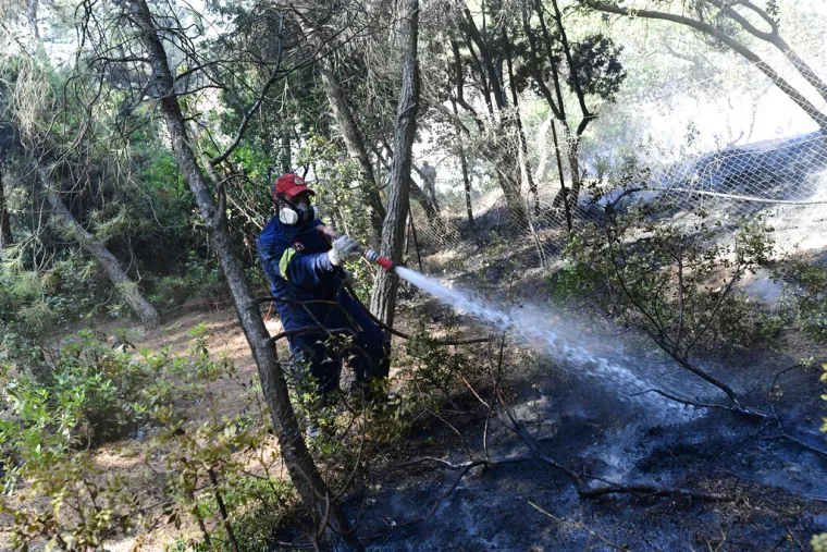 Prve žrtve požara u Grčkoj - predsjednik komore i mladi vatrogasac na kojeg je pao stup od struje. 'Ovo je apokalipsa!'