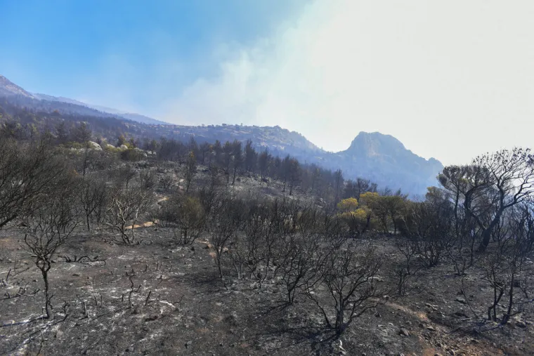 Prve žrtve požara u Grčkoj - predsjednik komore i mladi vatrogasac na kojeg je pao stup od struje. 'Ovo je apokalipsa!'