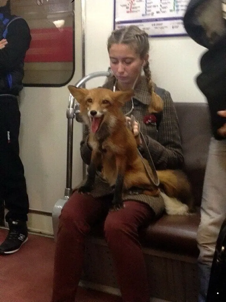 Javni prijevoz očito je omiljeno okupljali&scaron;te svih čudaka, ovakvi prizori ne mogu se vidjeti ni u Zoni sumraka