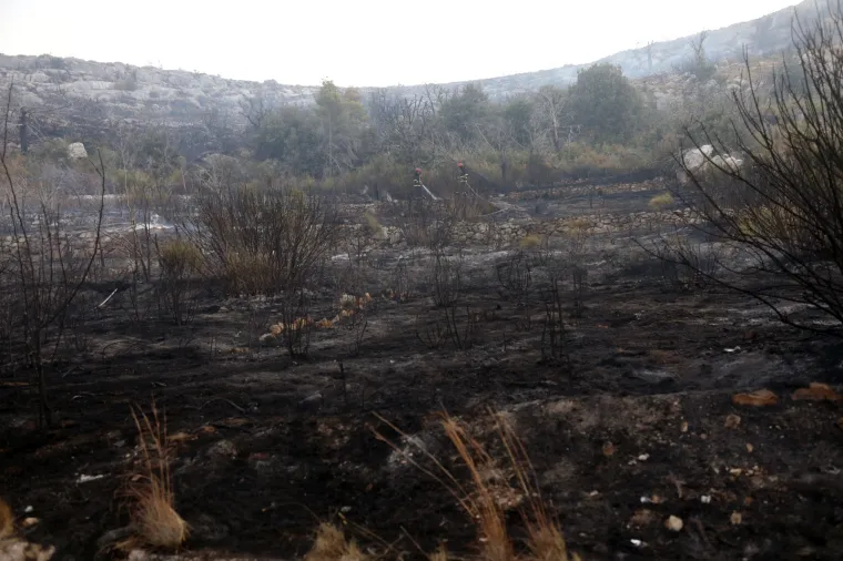 Dramatično kod &Scaron;ibenika: Vatrena buktinja 'progutala' 40 hektara, gase i kanaderi. Zatvorili i Jadransku magistralu