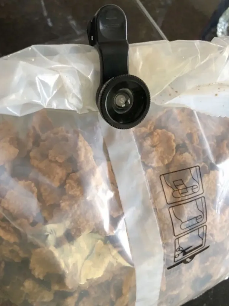 Tjednima nisam moga naći svoju leću. Moja mama ju je koristila kao kvačicu.