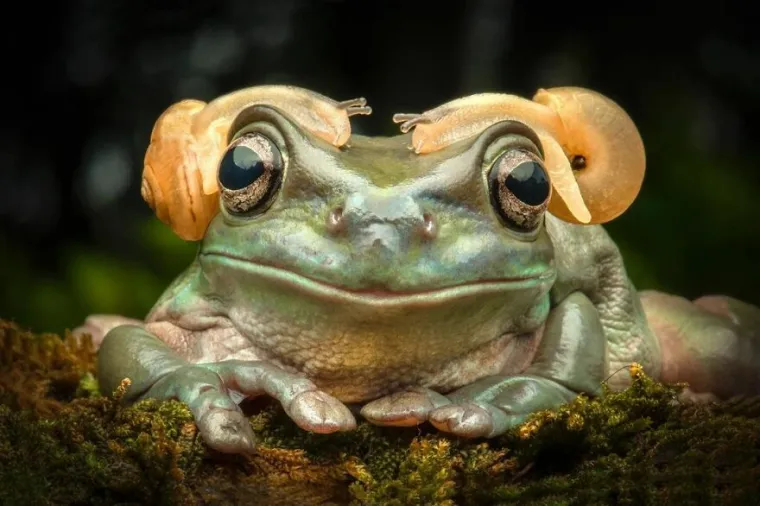 Čudesan svijet: Fotograf ulovio spektakularne trenutke iz prirode, pogledajte ove magične prizore