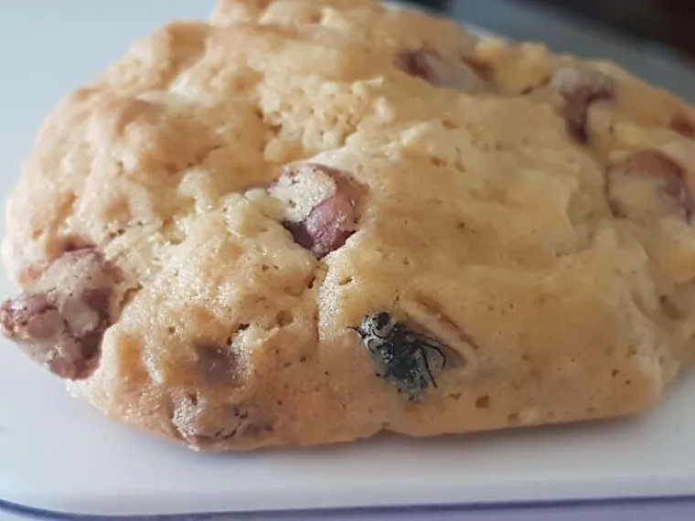 A sada čestitajmo dobitnicima doživotne nagrade "Vidim li te jo&scaron; jednom da kuha&scaron; zvat ću policiju i egzorciste!"