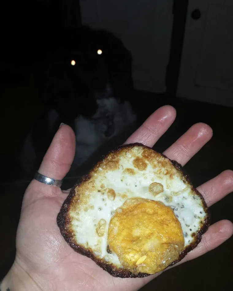 A sada čestitajmo dobitnicima doživotne nagrade "Vidim li te jo&scaron; jednom da kuha&scaron; zvat ću policiju i egzorciste!"