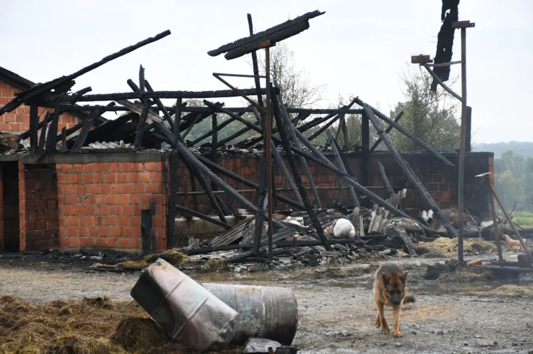UZNEMIRUJUĆE Stravični prizori na OPG-u koji je progutala vatra: Izgorjela živa stoka, &scaron;teta je ogromna