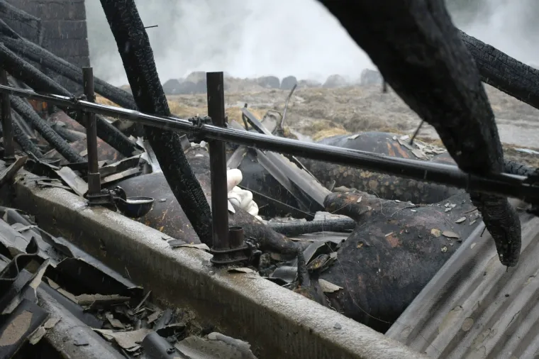 UZNEMIRUJUĆE Stravični prizori na OPG-u koji je progutala vatra: Izgorjela živa stoka, &scaron;teta je ogromna