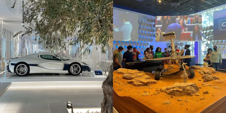 Živa maslina, Jadransko more, Rimčeva Nevera - Pogledajte &scaron;to smo sve predstavili na najvećoj gospodarskoj izložbi na svijetu