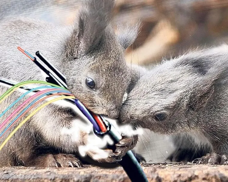 Živi bili, posvuda se ponovno ulogirali: Pogledajte najsmje&scaron;nije &scaron;ale vezane uz dramu kakvu 'internet ne pamti'