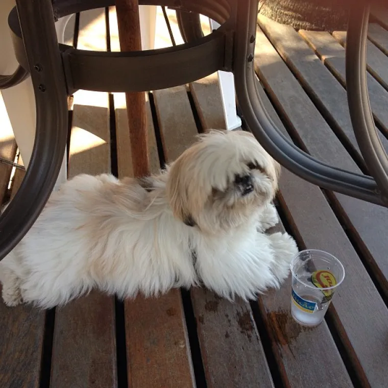 Zgrnula je golemu lovu na svom tijelu i iznenadila odlukom kome sve ostavlja ako joj se ne&scaron;to dogodi