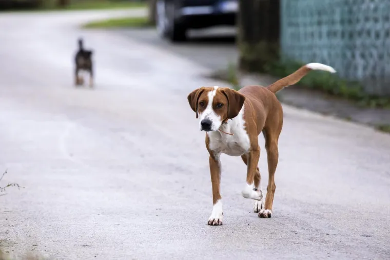 Jak potres &scaron;okirao Dalmaciju: Pogledajte kako danas izgleda mjesto Jabuka kod Trilja u blizini kojeg je bio epicentar