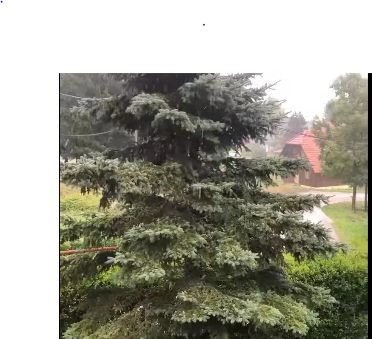 Pao je prvi snijeg ove sezone: Pogledajte fotografije iz Gorskog kotara