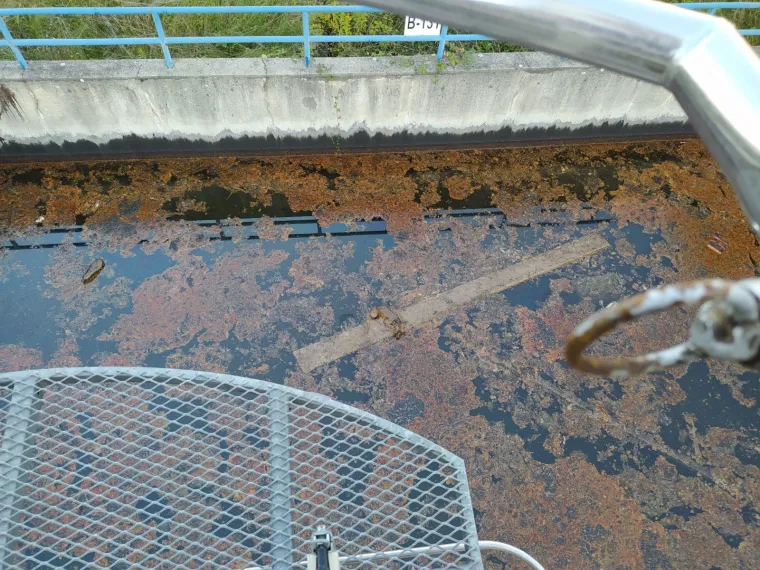 Spa&scaron;ena je lisica iz bazena s otpadnim uljem: 'Bila je izmučena i natopljena. Spa&scaron;ena je u zadnji tren'