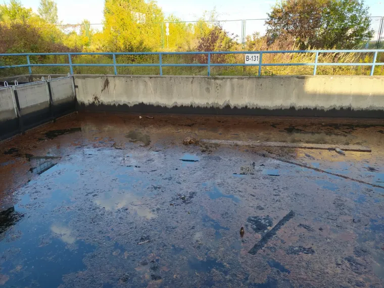 Spa&scaron;ena je lisica iz bazena s otpadnim uljem: 'Bila je izmučena i natopljena. Spa&scaron;ena je u zadnji tren'