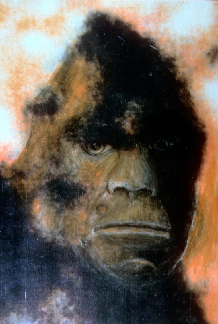 Bigfoot ili najveća prijevara stoljeća? Snimke zbunjuju i iskusne stručnjake, tko ili što je ovaj gigantski stvor?