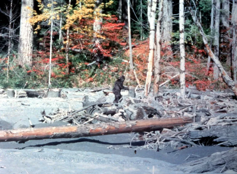 Bigfoot ili najveća prijevara stoljeća? Snimke zbunjuju i iskusne stručnjake, tko ili što je ovaj gigantski stvor?