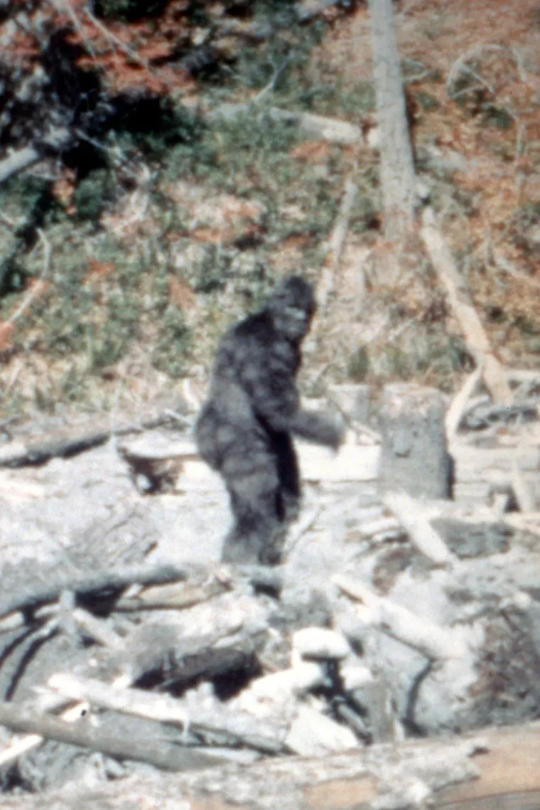 Bigfoot ili najveća prijevara stoljeća? Snimke zbunjuju i iskusne stručnjake, tko ili što je ovaj gigantski stvor?