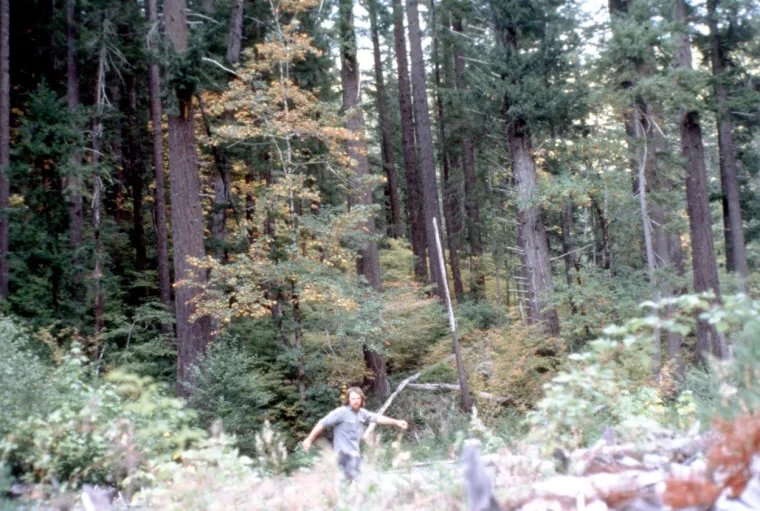 Bigfoot ili najveća prijevara stoljeća? Snimke zbunjuju i iskusne stručnjake, tko ili što je ovaj gigantski stvor?