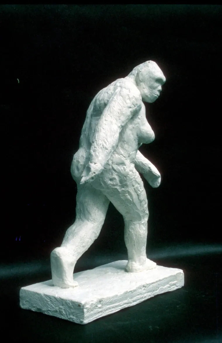 Bigfoot ili najveća prijevara stoljeća? Snimke zbunjuju i iskusne stručnjake, tko ili što je ovaj gigantski stvor?