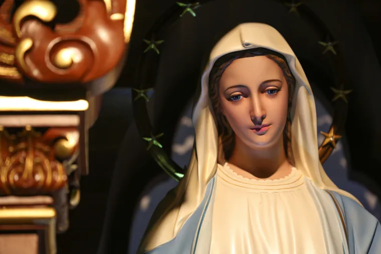1. Isusa je rodila Djevica Marija: Za ovu ideju zaslužan je sveti Augustin koji je došao na ideju istočnog grijeha. Utvrdio je da se istočni grijeh prenio činom snošaja na novorođenče. Stoga je Marija, da bi se rodila čista, morala biti djevica u vrijeme rođenja. U Bibliji se o tome malo govori, većina pisaca evanđelja u potpunosti to preskače.