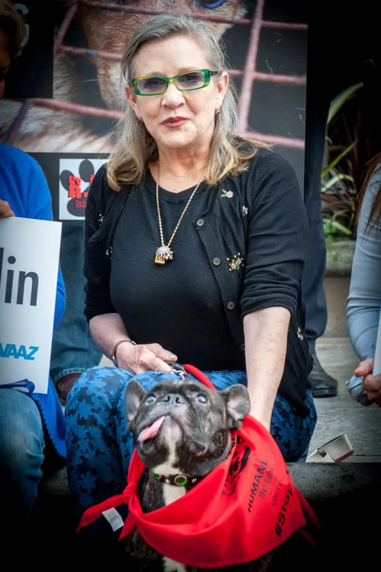 
Dok je večerala na setu snimanja filma 'The Blues Brothers' Fisher se skoro ugu&scaron;ila keljom pupčarom. Poslije se zaručila za Dana Aykroyda, glumca koji joj je spasio život Heimlichovim zahvatom.
