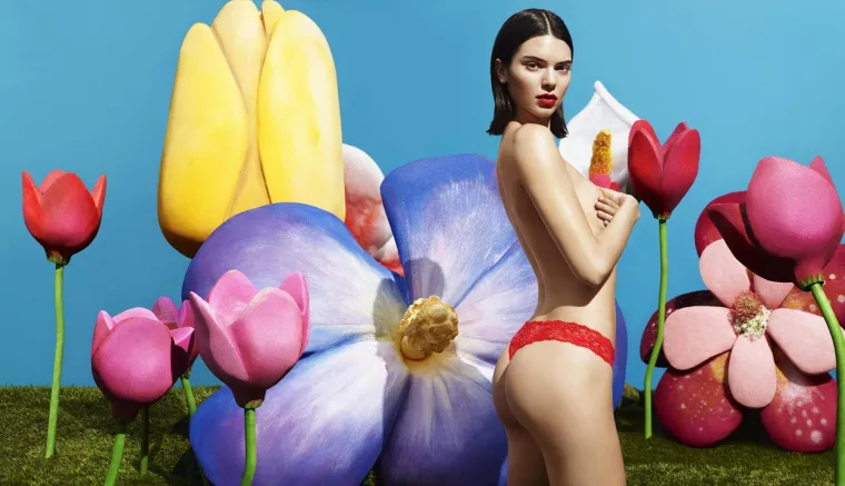 Mjesec dana kasnije njena majka Kris Jenner pokrenula je glasinu o njenoj trudnoći, no Kendall ih ju je odmah demantirala.