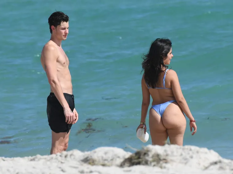 Camilu Cabello trolovi napadaju jer je sad ima malo više za voljeti, ali Shawn Mendes ne može skinuti ruke s njene raskošne pozadine