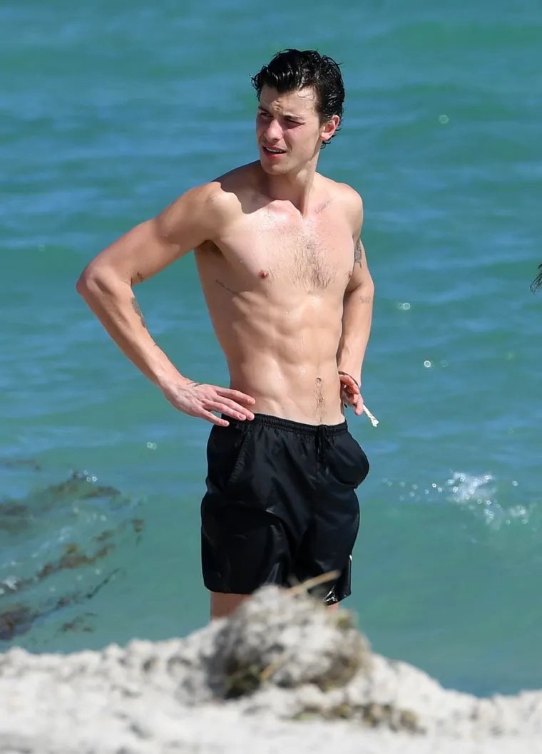 Camilu Cabello trolovi napadaju jer je sad ima malo više za voljeti, ali Shawn Mendes ne može skinuti ruke s njene raskošne pozadine