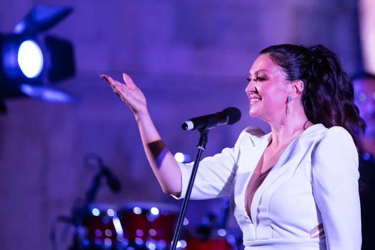 Mamić je pohodio sve Ninine koncerte, i tamo uvijek stajao u prvim redovima. U kolovozu 2018. njegova je opsesija prešla sve granice, pa ga je Nina Badrić prijavila za nametljivo ponašanje. 