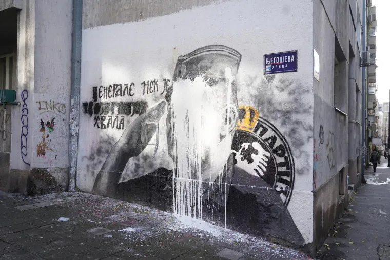 Mural sa likom Mladića predstavlja ljagu na obrazu svakog građanina Srbije, bez obzira kojem narodu pripadao, koje je vjere ili političke orijentacije, rekao je Žujović