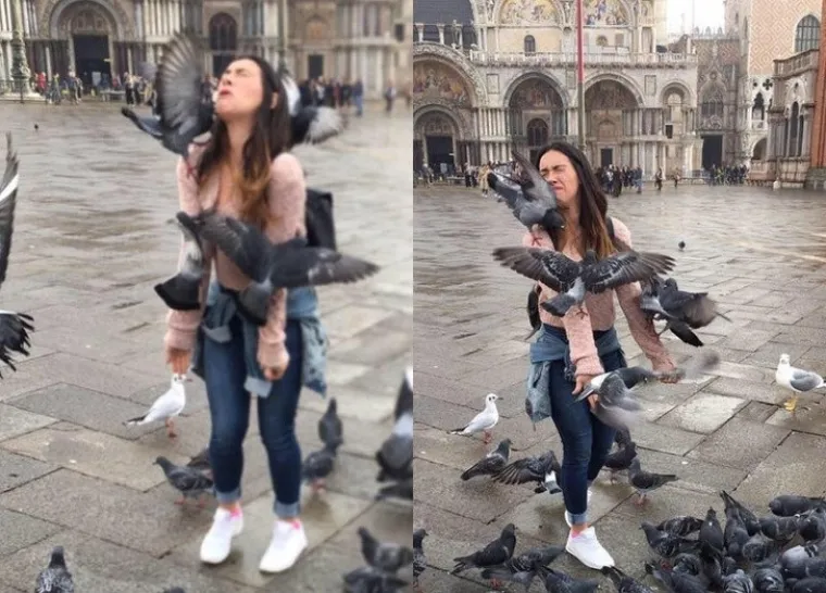 Halo, jesmo li dobili 666-999? Željeli bismo prijaviti da je ove ljude zadesilo zlo i naopako