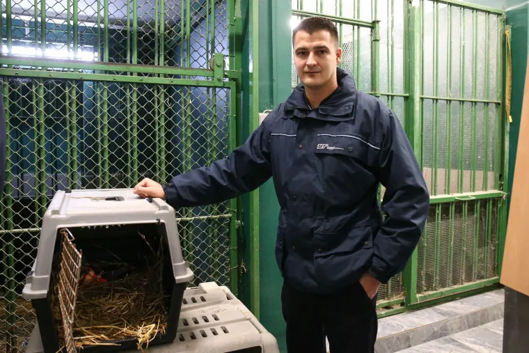 Vozač ZET-ovog autobusa spasio preslatku sovu slomljenog krila