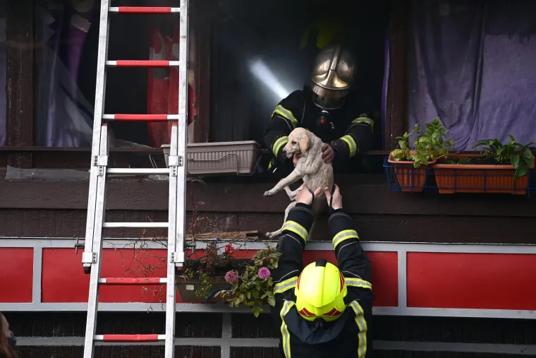 Veliki požar u zgradi u Zagrebu: Vatrogasci spasili 11 stanara i psa. 'Unutra ima i djece'