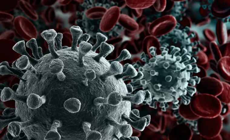 Proročica je rekla da će stručni tim znanstvenika otkriti novi virus u Sibiru. Pojava tog virusa bit će uzrokovana katastrofalnim uzrocima globalnog zagrijavanja. Novi virus će biti pušten i brzo će se proširiti po svijetu koji njegovo širenje neće moći kontrolirati. 