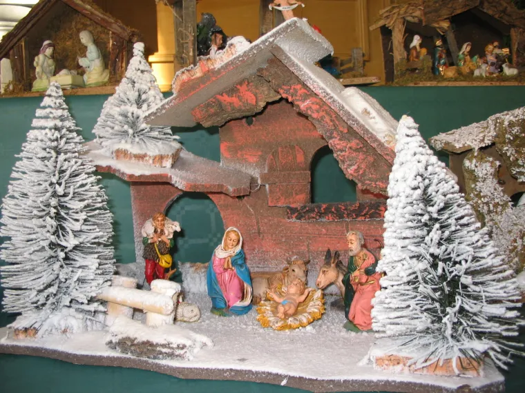 5.Jaslice:
Iako su jaslice centralne za slavlje Božića, i za razliku od kićenja bora koji proizašao iz germanske tradicije rasprostranjene među svim kršćanima, prilično su slabo opisane u Bibliji i spominju se u dva evanđelja. U onom po Mateju je priča o mudracima, dok Luka opisuje kako su se novorođenom Isusu došli pokloniti pastiri. Životinje se ne spominju izrijekom, niti se spominju kako je porođaju svjedočio anđeo. 
Tradiciju jaslica pokrenuo je sv. Franjo Asiški, koji je 1223. postavio žive jaslice.  Kako su tada mise služene na latinskom,  puk je o sadržaju Biblije učio uglavnom iz predstava pa je želio prisdpobiti i Kristovo rođenje. 
Od tada se ideja jaslica širi, a vremenom postaju i svojevrsni propagandi alat. Uz ovce, dvije životinje koje su prilično česte u prikazu su magarac i vol. U nekim prikazima, magarac i vol griju bebu svojim dahom,   no u drugim se otimaju za dekicu dekicu kojom je pokriven. U prvom slučaju, želi se pokazati kako su se i životinje pokorije Sinu Čovječjem. U drugom prikazu, koji je dosta popularan tijekom renesanse, &apos;zli&apos; magarac i vol simboliziraju Židove i pogane koji sumnjaju u svetost Isusa. 

