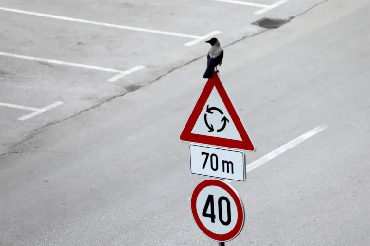 Kada na pje&scaron;ačkom prijelazu ugledate pje&scaron;aka morate ga propustiti. No ako ga ugledate na autocesti onda to niste dužni učiniti, ali jeste dužni propustiti ptice. Barem ako se nalazite u Utahu, u SAD-u. Dodajmo kako u Južnoafričkoj Republici sve divlje životinje imaju pravo prvenstva. 