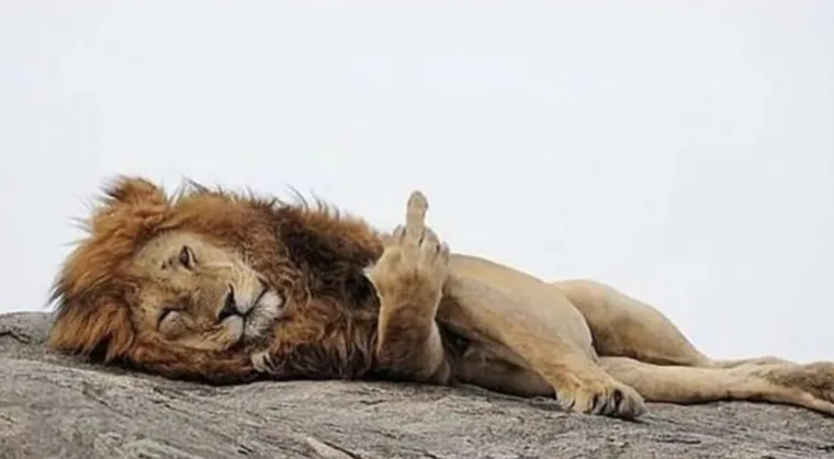 Ibra je i prije znao &scaron;okirati, i danas se priča o onome &scaron;to je napravio dok je igrao za United