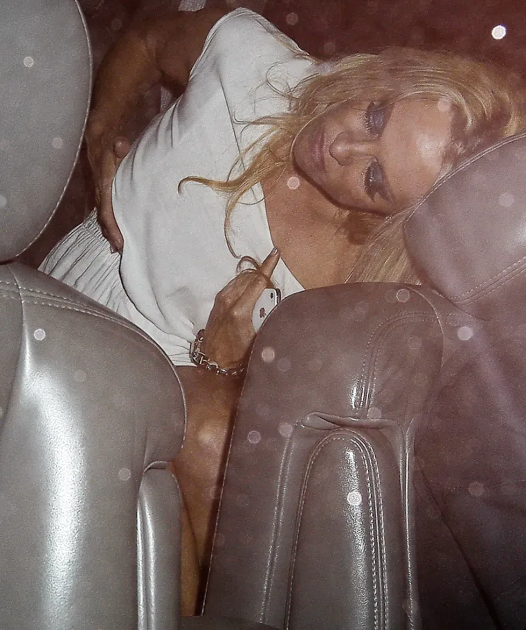 8. Pamela Anderson je 2012. uhvaćena kako pijana izlazi iz noćnog kluba, a kasnije je viđena u dru&scaron;tvu čak petorice mu&scaron;karaca. Ova glumica i biv&scaron;a Playboyjeva zečica bila je poznata po seksualnim avanturama, tulumarenju i provokativnom oblačenju- Međutim, ovisnost o seksu, alkoholu i drogama nikada nije javno priznala. 