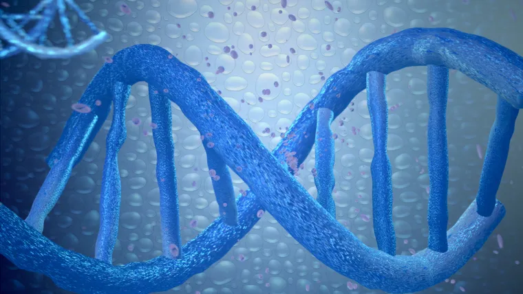 6. Drevni DNK pokazuje da virus prehlade navodno postoji prije pojave čovjeka
Znanstvenici su otkrili dijelove virusne DNK u dva mliječna zuba stara 31.000 godina i rekonstruirali evolucijsku povijest patogena. Otkriveno je da je vrsta virusa, koja obično uzrokuje blage bolesti nalik prehladi kod djece, možda nastala prije više od 700.000 godina.