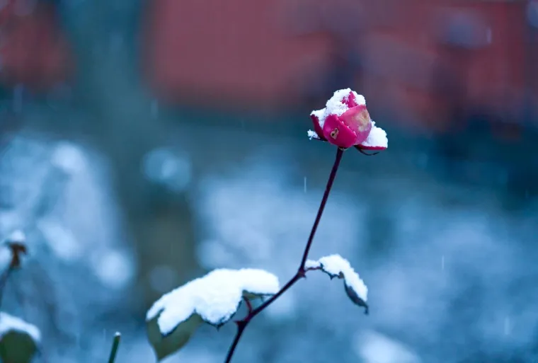 Snijeg je napokon pao i u Zagrebu! Pogledajte idilične slike grada